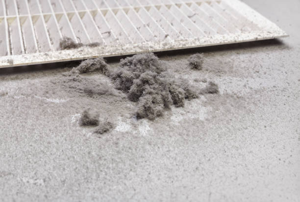Best Commercial HVAC Duct Cleaning  in Somonauk, IL