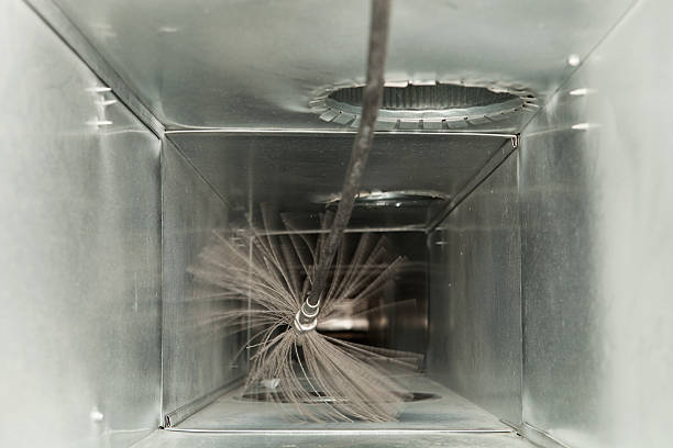 Best HVAC Duct Inspection Services  in Somonauk, IL