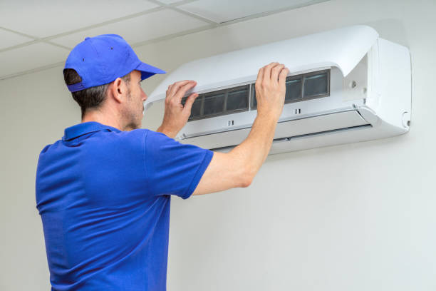 Best Air Duct Sanitizing Services  in Somonauk, IL