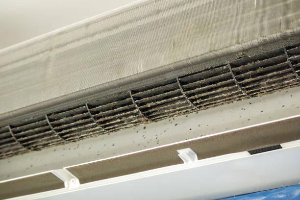 Best Air Duct Cleaning Near Me  in Somonauk, IL