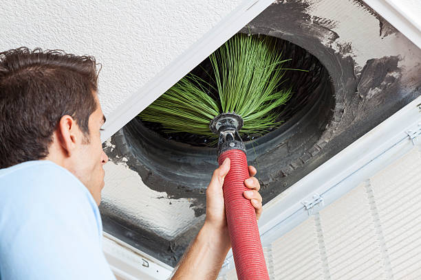 Best Ductwork Cleaning Services  in Somonauk, IL