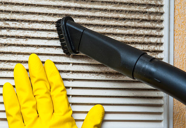 Best Air Vent Cleaning Services  in Somonauk, IL