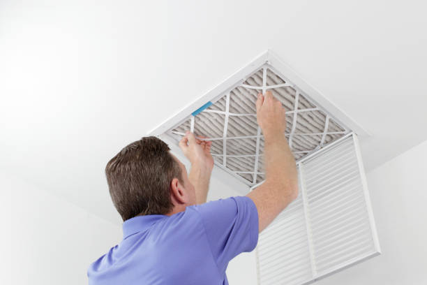 Best Local Air Duct Cleaning Services  in Somonauk, IL
